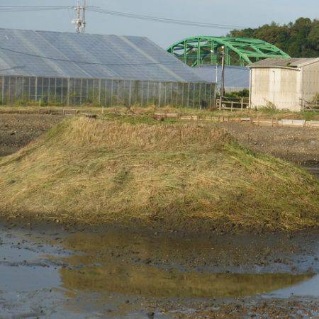 浜名湖フィッシングリゾート 釣果