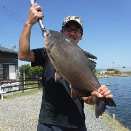 浜名湖フィッシングリゾート 釣果