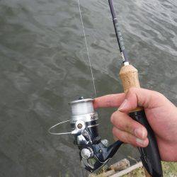 浜名湖フィッシングリゾート 釣果