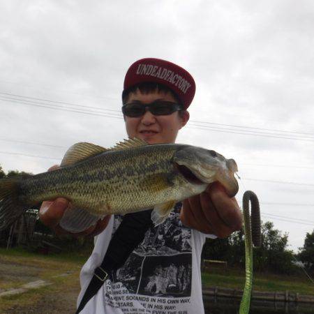 浜名湖フィッシングリゾート 釣果