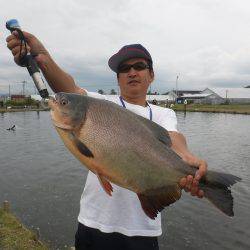 浜名湖フィッシングリゾート 釣果