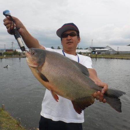 浜名湖フィッシングリゾート 釣果