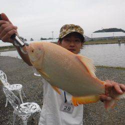 浜名湖フィッシングリゾート 釣果