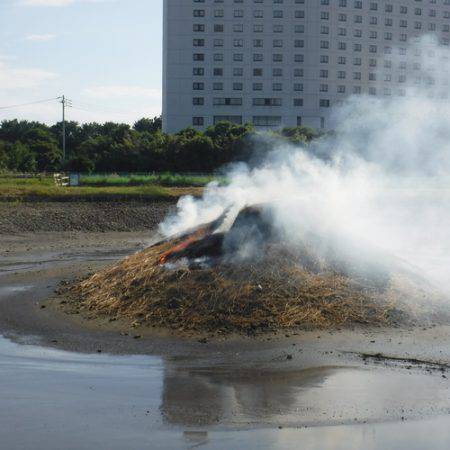 浜名湖フィッシングリゾート 釣果