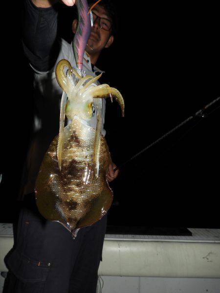 Fisherman Dreams DI 釣…