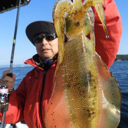 Fisherman Dreams DI 釣果