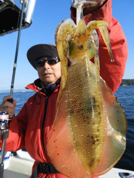 Fisherman Dreams DI 釣…