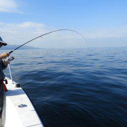 Fisherman Dreams DI 釣果