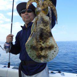 Fisherman Dreams DI 釣果