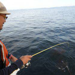 Fisherman Dreams DI 釣果