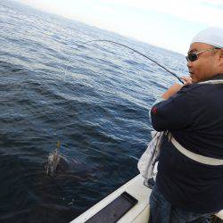 Fisherman Dreams DI 釣果