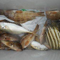 こかわ渡船　雅丸 釣果