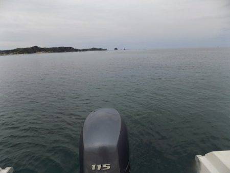 フィッシングボート空風(そらかぜ) 釣果