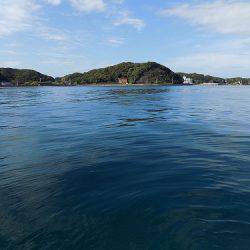 フィッシングボート空風(そらかぜ) 釣果