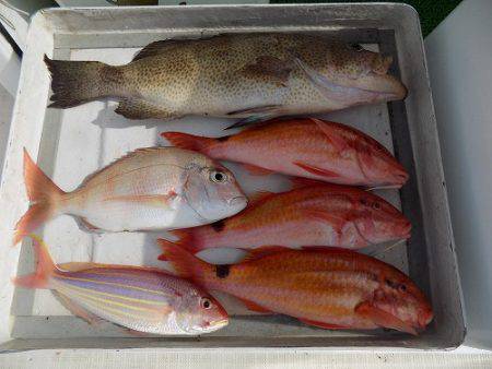 フィッシングボート空風（そらかぜ） 釣果