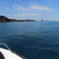 フィッシングボート空風(そらかぜ) 釣果