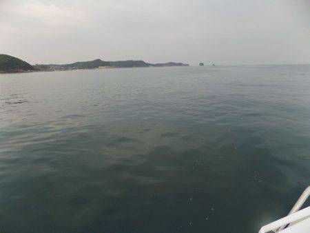 フィッシングボート空風（そらかぜ） 釣果
