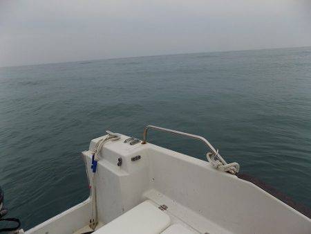 フィッシングボート空風（そらかぜ） 釣果