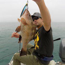 フィッシングボート空風（そらかぜ） 釣果