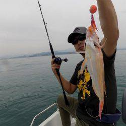 フィッシングボート空風（そらかぜ） 釣果