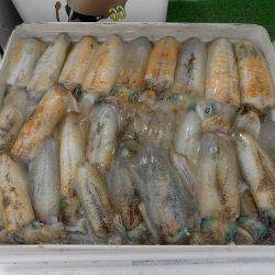 フィッシングボート空風(そらかぜ) 釣果