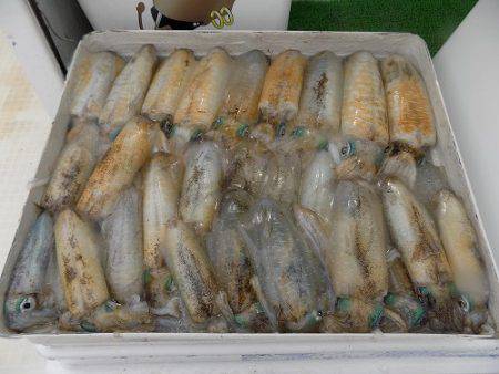 フィッシングボート空風（そらかぜ） 釣果