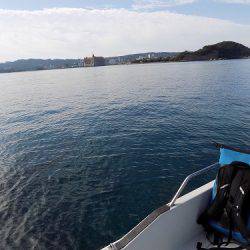 フィッシングボート空風(そらかぜ) 釣果