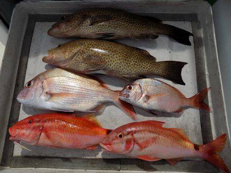 フィッシングボート空風(そらかぜ) 釣果