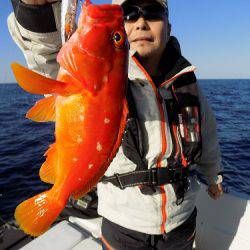 フィッシングボート空風(そらかぜ) 釣果