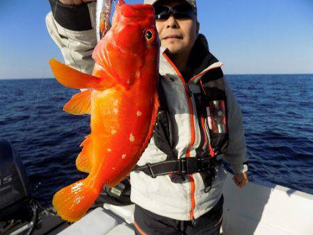 フィッシングボート空風(そらかぜ) 釣果