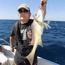 フィッシングボート空風(そらかぜ) 釣果