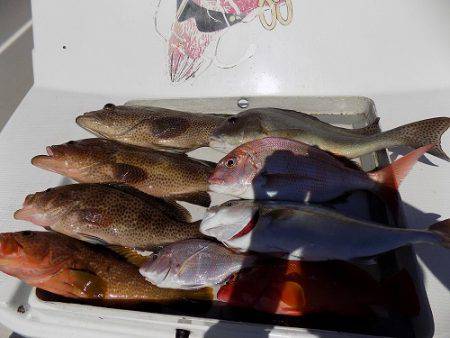 フィッシングボート空風（そらかぜ） 釣果