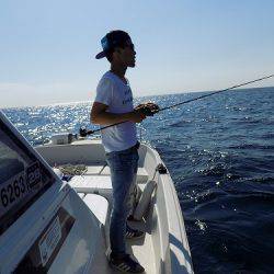 フィッシングボート空風(そらかぜ) 釣果