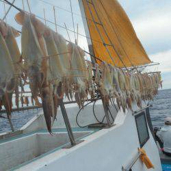 大進丸（愛知） 釣果
