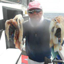 大進丸（愛知） 釣果