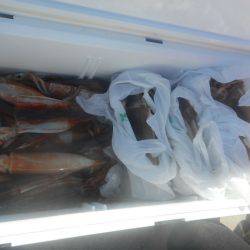 大進丸（愛知） 釣果