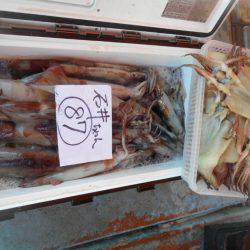 大進丸（愛知） 釣果