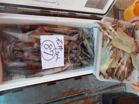 大進丸（愛知） 釣果