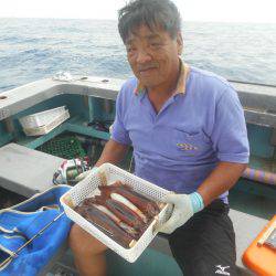 大進丸（愛知） 釣果