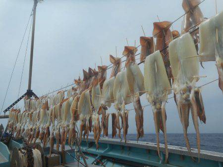 大進丸（愛知） 釣果