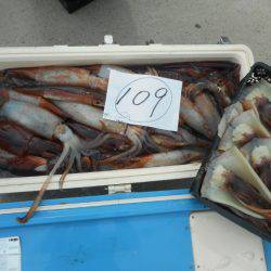 大進丸（愛知） 釣果