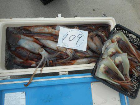 大進丸（愛知） 釣果