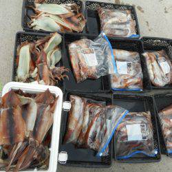 大進丸（愛知） 釣果