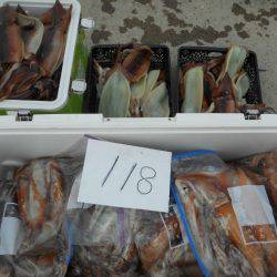 大進丸（愛知） 釣果