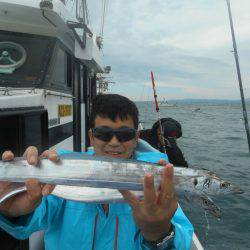 大進丸(愛知) 釣果