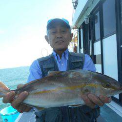 大進丸（愛知） 釣果