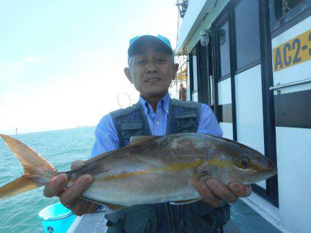 大進丸（愛知） 釣果