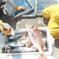 大進丸（愛知） 釣果