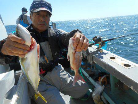 大進丸（愛知） 釣果