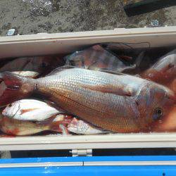 大進丸（愛知） 釣果